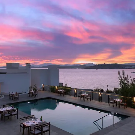 Senses - Adults Only