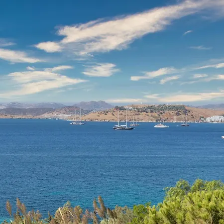 Szálloda Senses - Adults Only 4*