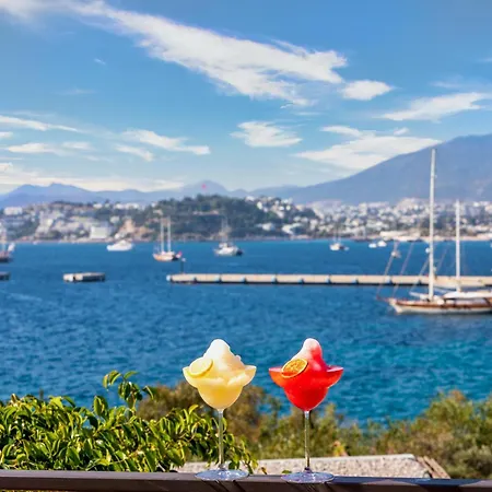 Szálloda Senses - Adults Only 4*